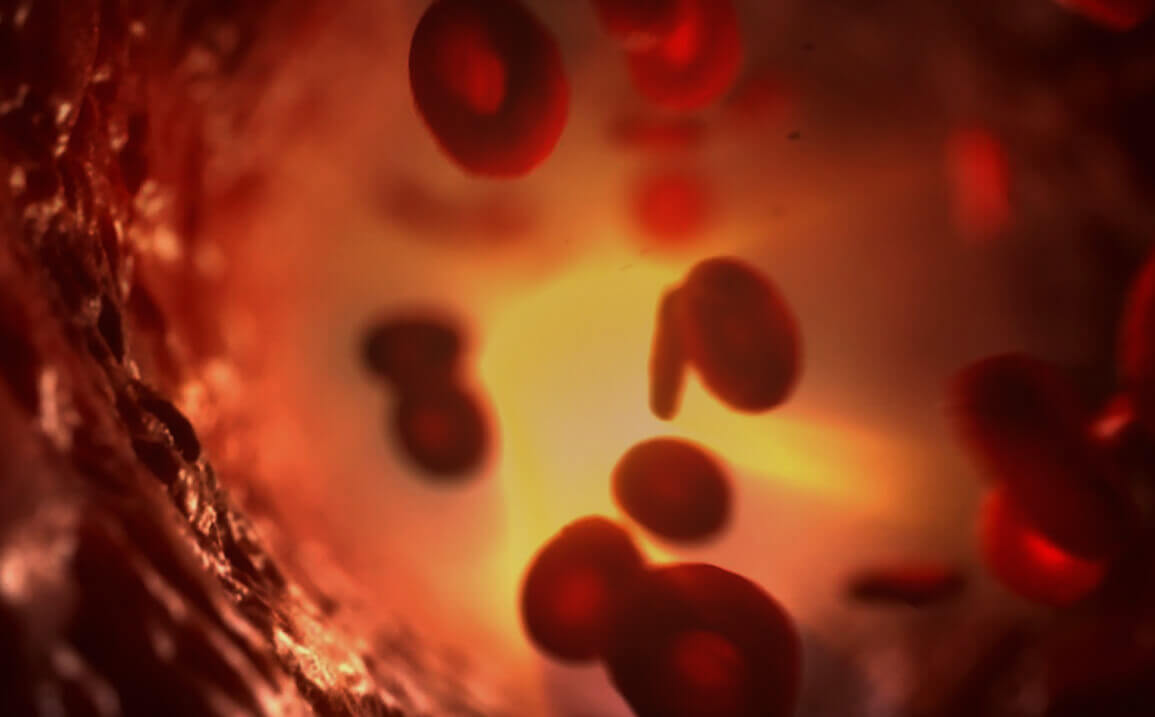 Ionic Screening Service