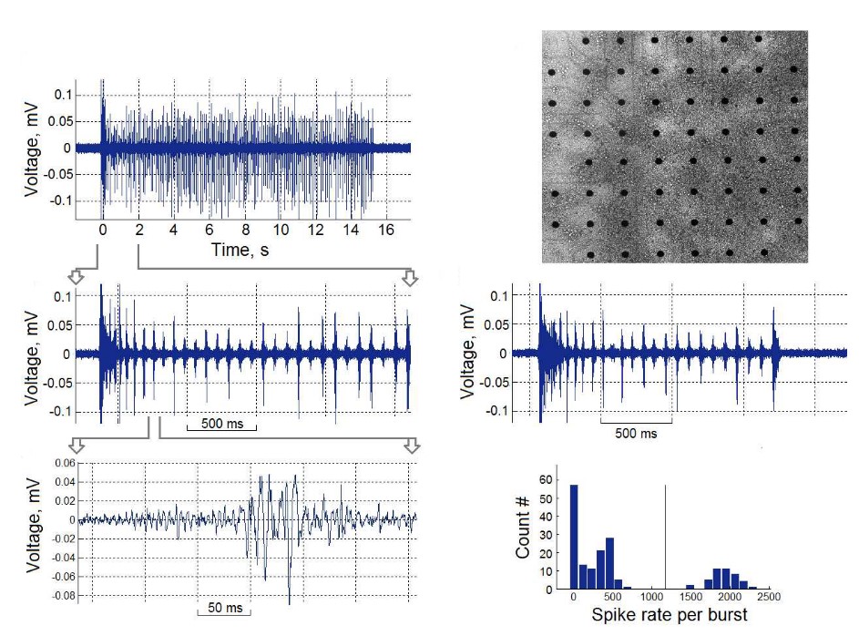 Multi-Electrode Array (MEA) - Creative Bioarray