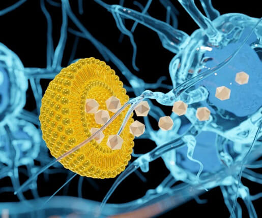 Ligand Gated Ion Channels