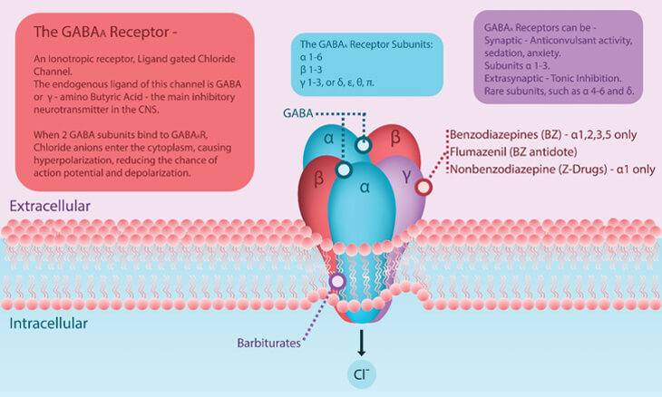 Ligand Gated Ion Channels
